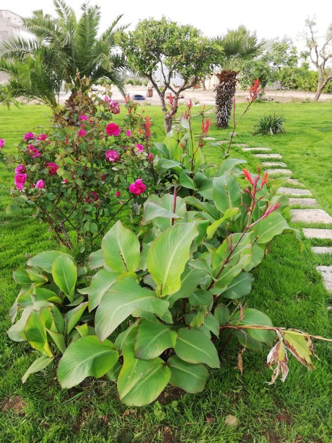 Il Giardino Dei Tramonti Bed & Breakfast *